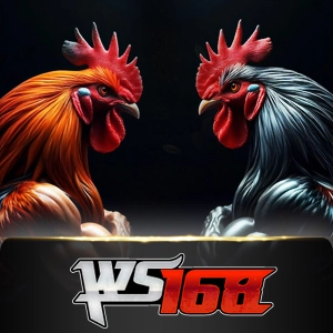 ws168 - letsbet77