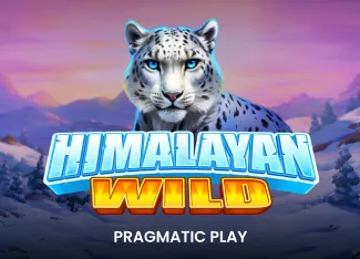 Himalayan Wild - LETSEBET77